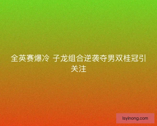 全英赛爆冷 子龙组合逆袭夺男双桂冠引关注