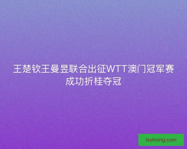 王楚钦王曼昱联合出征WTT澳门冠军赛成功折桂夺冠