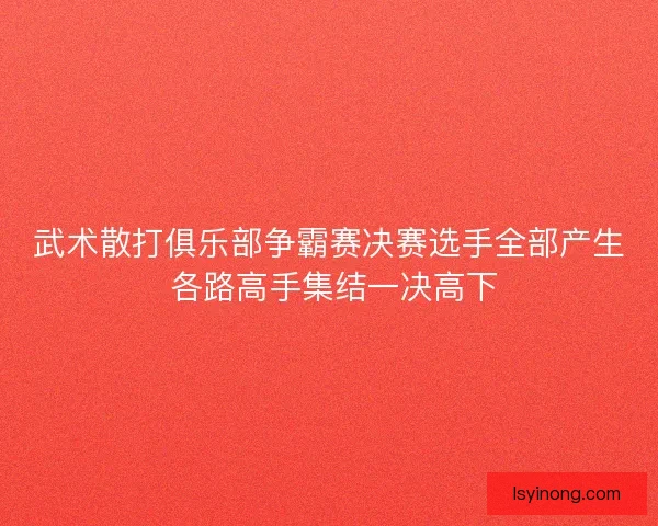 武术散打俱乐部争霸赛决赛选手全部产生 各路高手集结一决高下